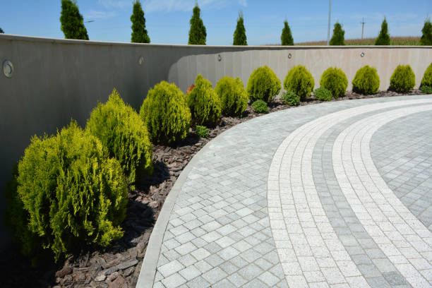 Best Driveway Paving Contractor  in Denver, NC